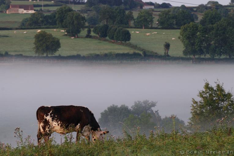 ENE-20090905-0482.jpg - [nl] Les Bassets, Vareilles, Frankrijk[en] Les Bassets, Vareilles, France